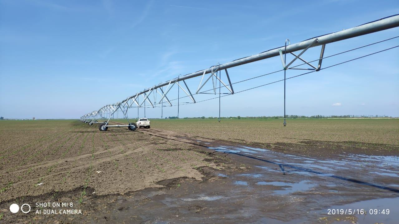 https://s3.nzgu.ru/elekon-public/10762627173020_a8382415e5.jpg